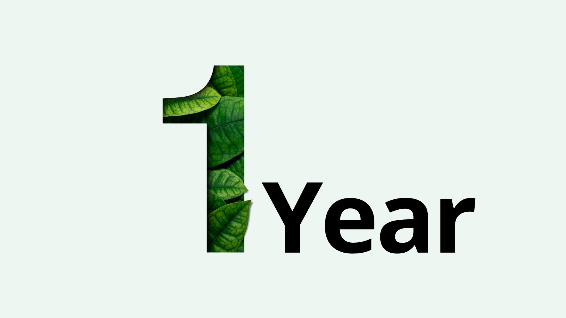 1 Year Recycleme
